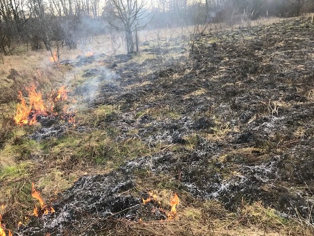 Flächenbrand