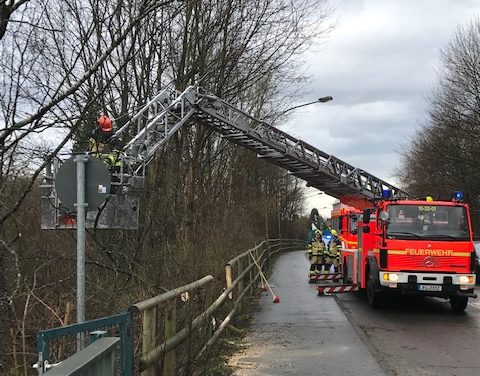 Baum droht zu fallen