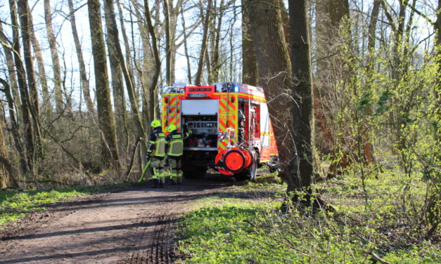 Flächenbrand