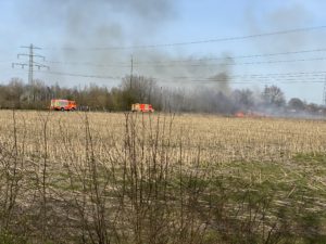 Flächenbrand Ossenpad 128_2020