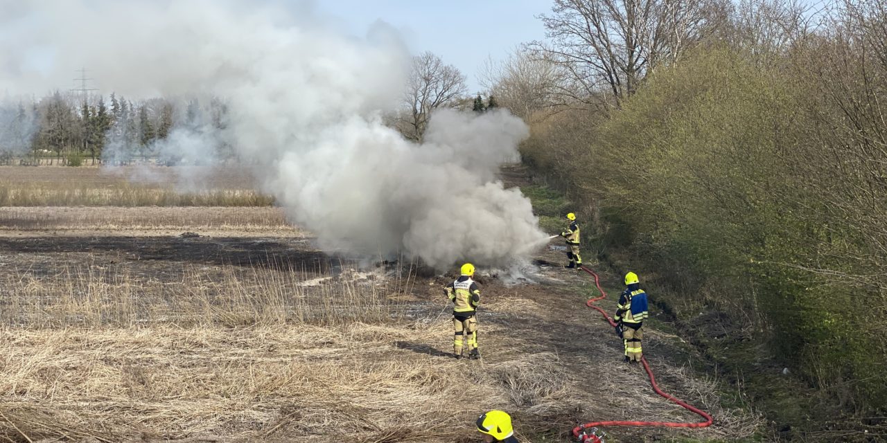 Flächenbrand