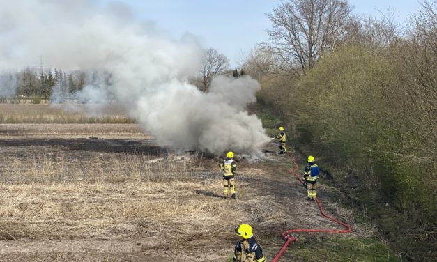 Flächenbrand