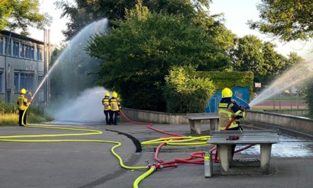 Internationaler Tag des Ehrenamtes