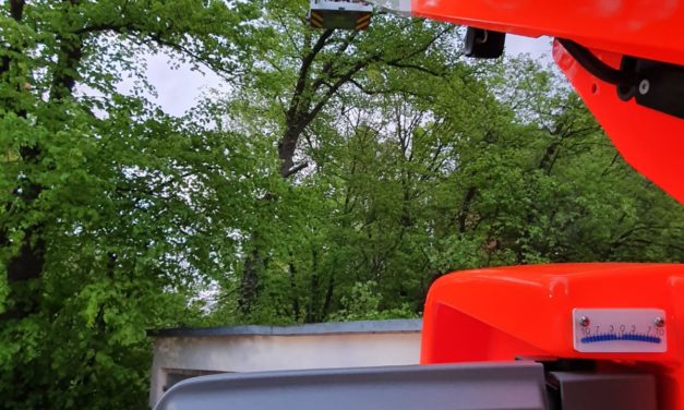 Unterstützung des THW beim Lichten einer Baumkrone