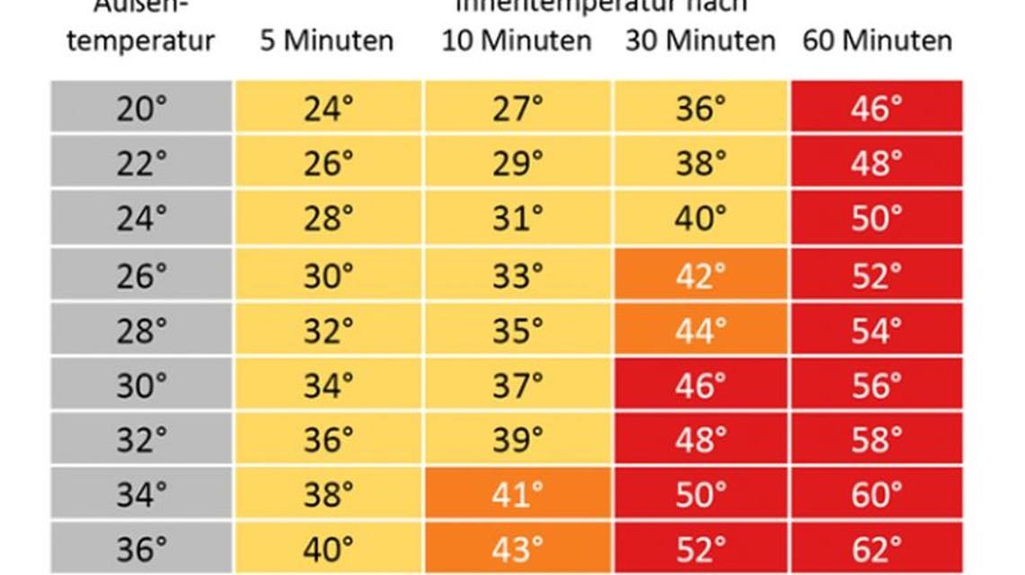 Hitze in Fahrzeugen!