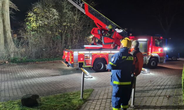 Pappel droht auf Haus zu stürzen