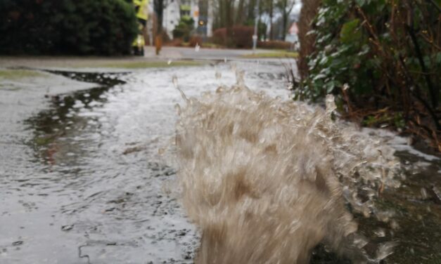 Wasser im Keller