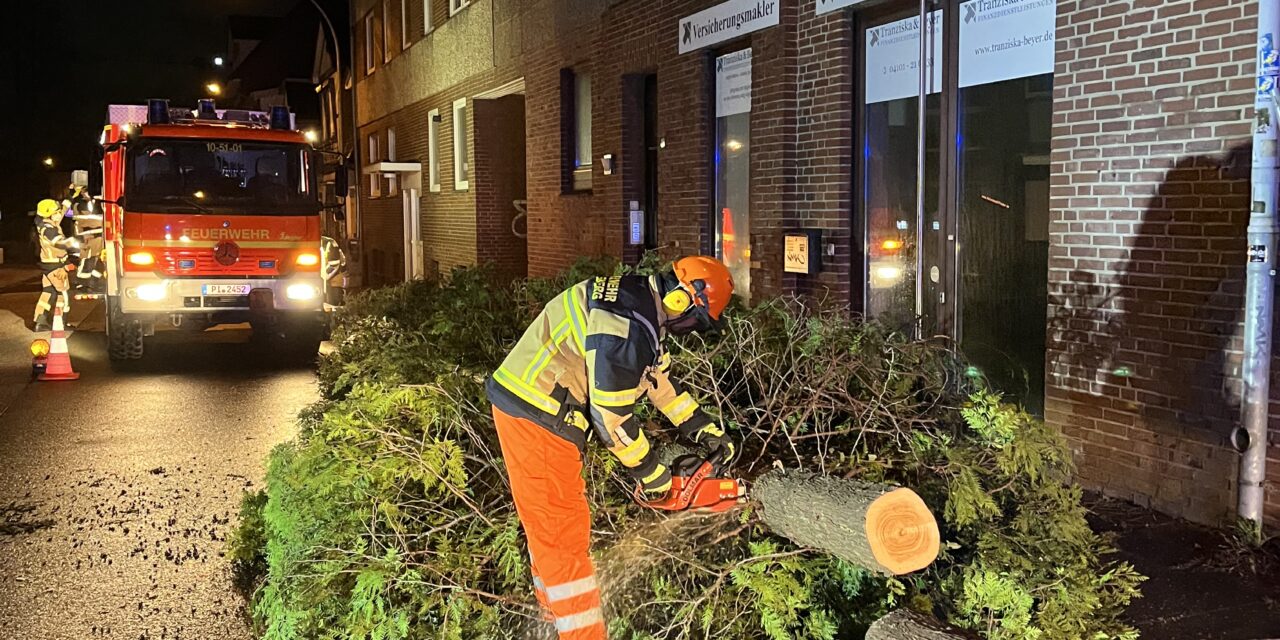 Baum auf Gehweg gestürzt