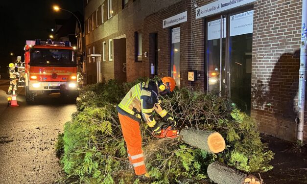 Baum auf Gehweg gestürzt
