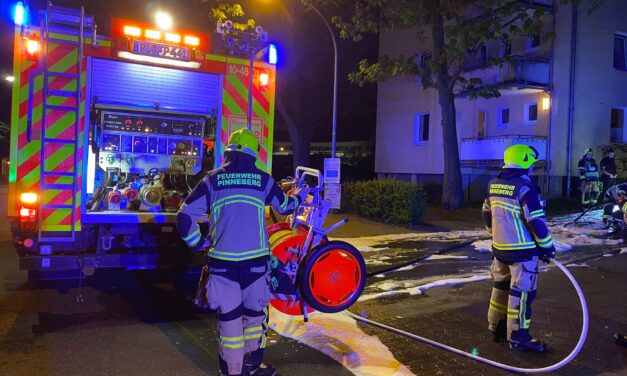 Brennen Mülltonnen und Hecke