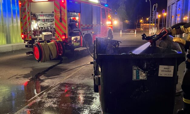 Brennt 1,1qm Müllcontainer
