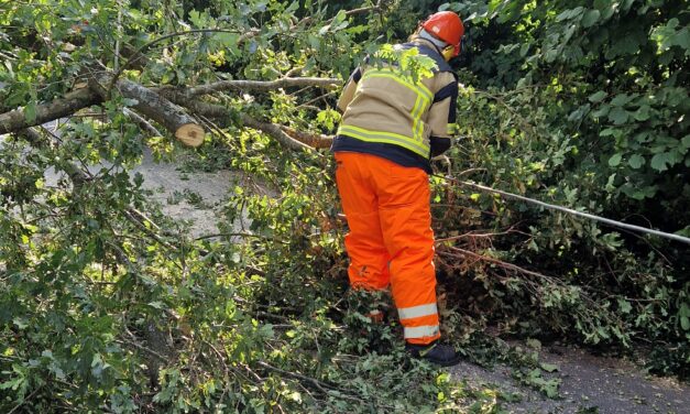 Äste drohen zu fallen