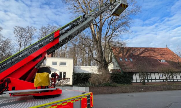 Drohen Äste herab zu stürzen