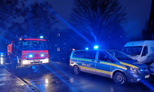 Ausgelöster Rauchwarnmelder und Brandgeruch