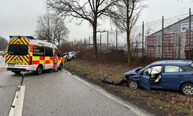Austritt von Betriebsstoffen nach Verkehrsunfall