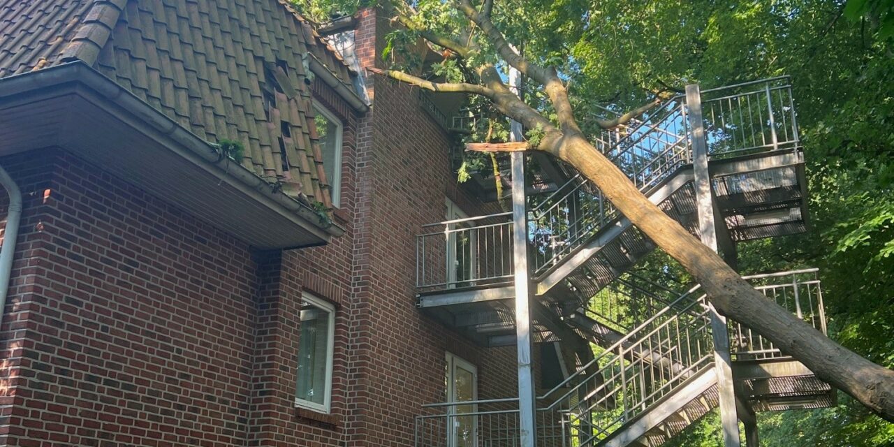 Baum auf Gebäude gestürzt