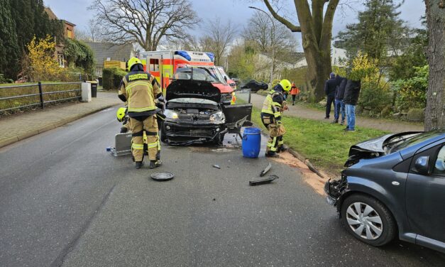 Austretende Betriebsstoffe nach Verkehrsunfall