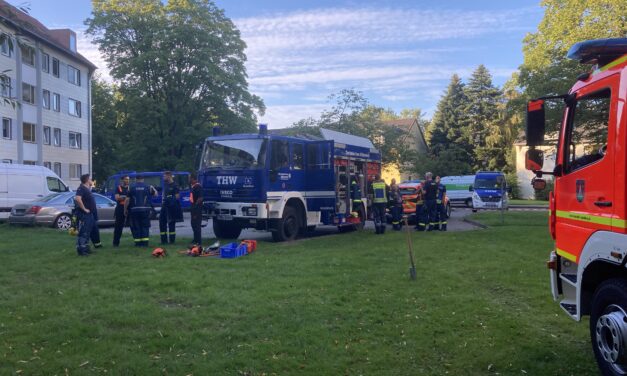 Baum auf Gebäude gestürzt