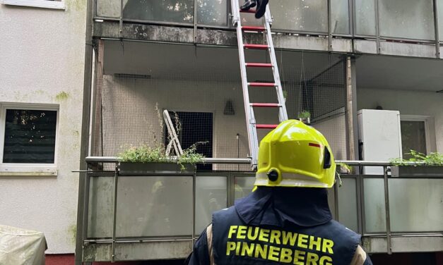 Unterstützung Polizei