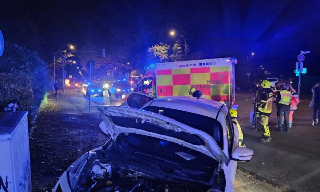 Beseitigung von Betriebsstoffen nach Verkehrsunfall
