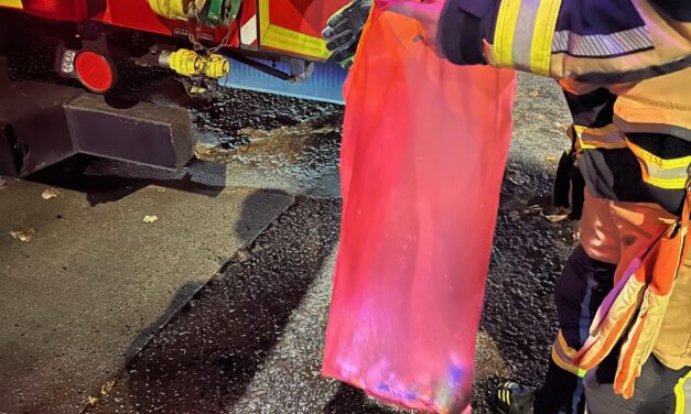 Kleinstfeuer im Mülleimer