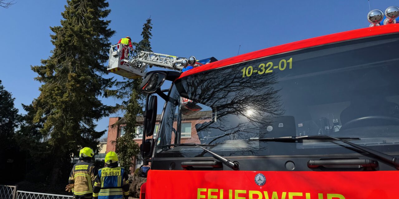 Bäume drohen zu fallen
