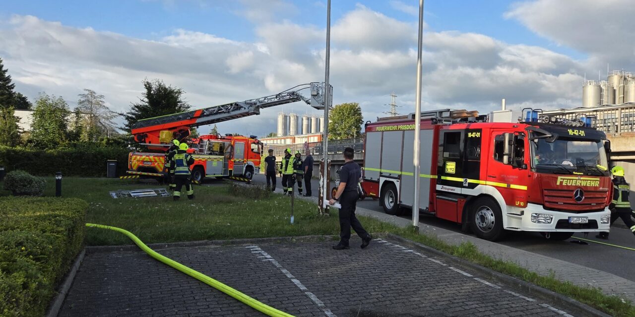 Gemeinsame Übung mit der FF Prisdorf