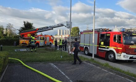 Gemeinsame Übung mit der FF Prisdorf