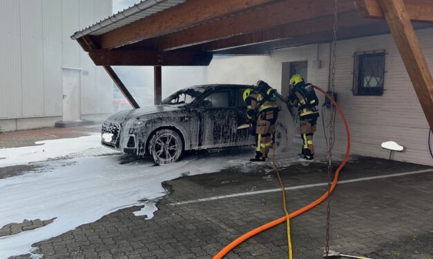 PKW-Brand
