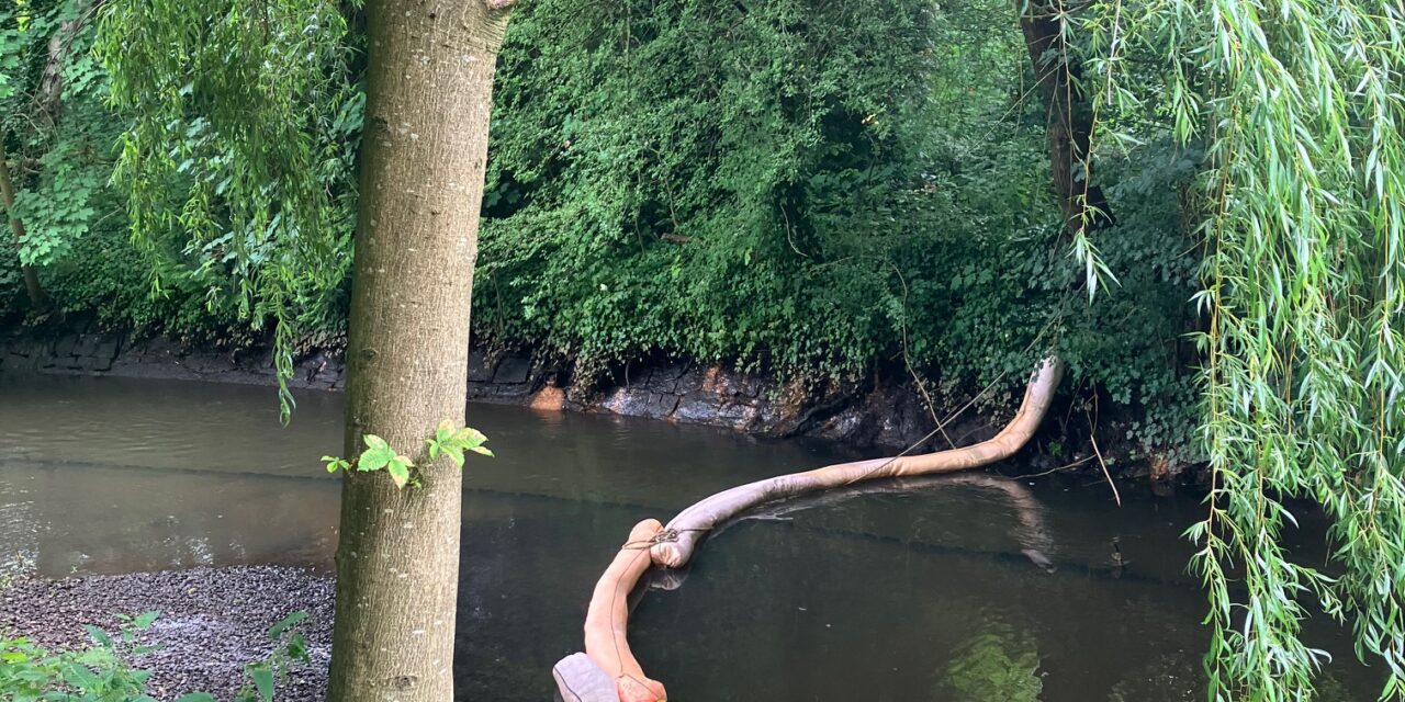 Ölfilm auf der Mühlenau