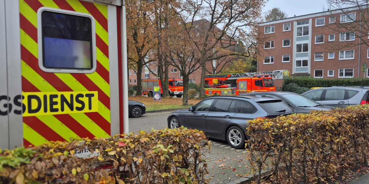 Unterstützung Rettungsdienst