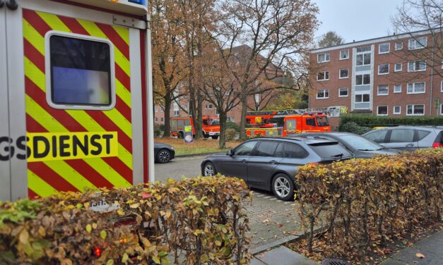 Unterstützung Rettungsdienst