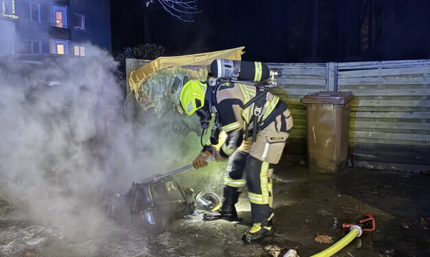 Brennt Müllcontainer