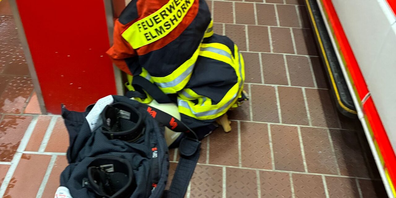 Austretende Betriebsstoffe nach Verkehrsunfall