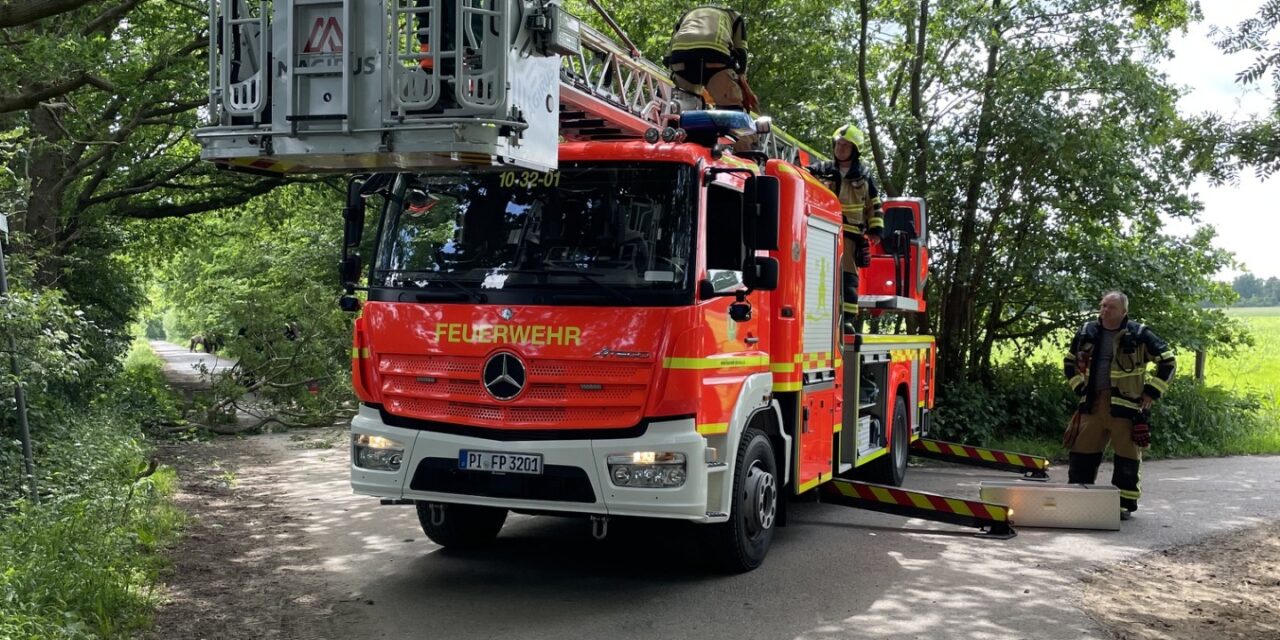 Äste drohen zu fallen