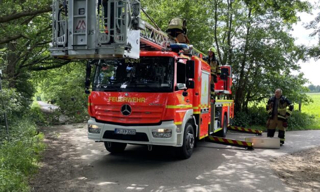 Äste drohen zu fallen