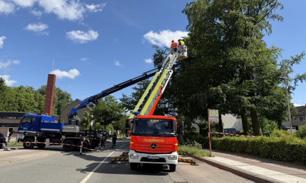 Äste drohen zu fallen
