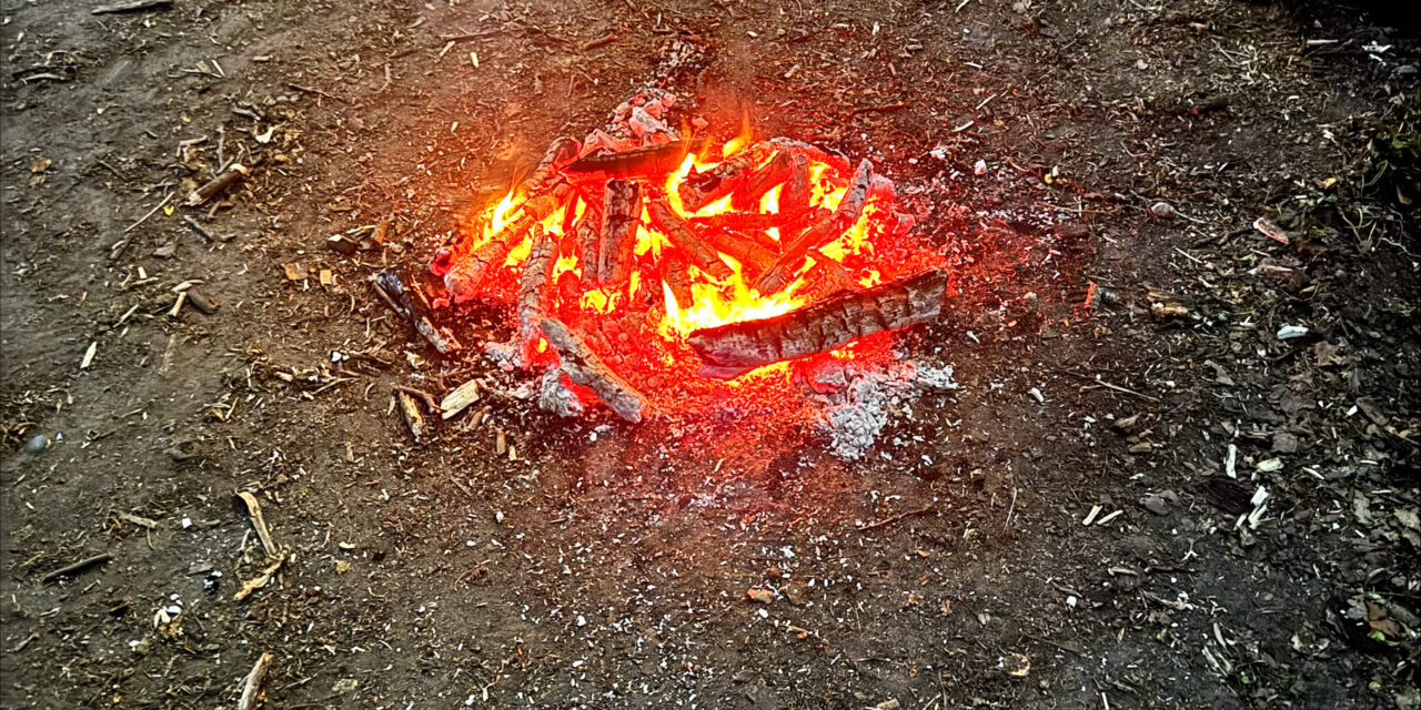 Lagerfeuer im Wald