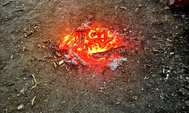 Lagerfeuer im Wald