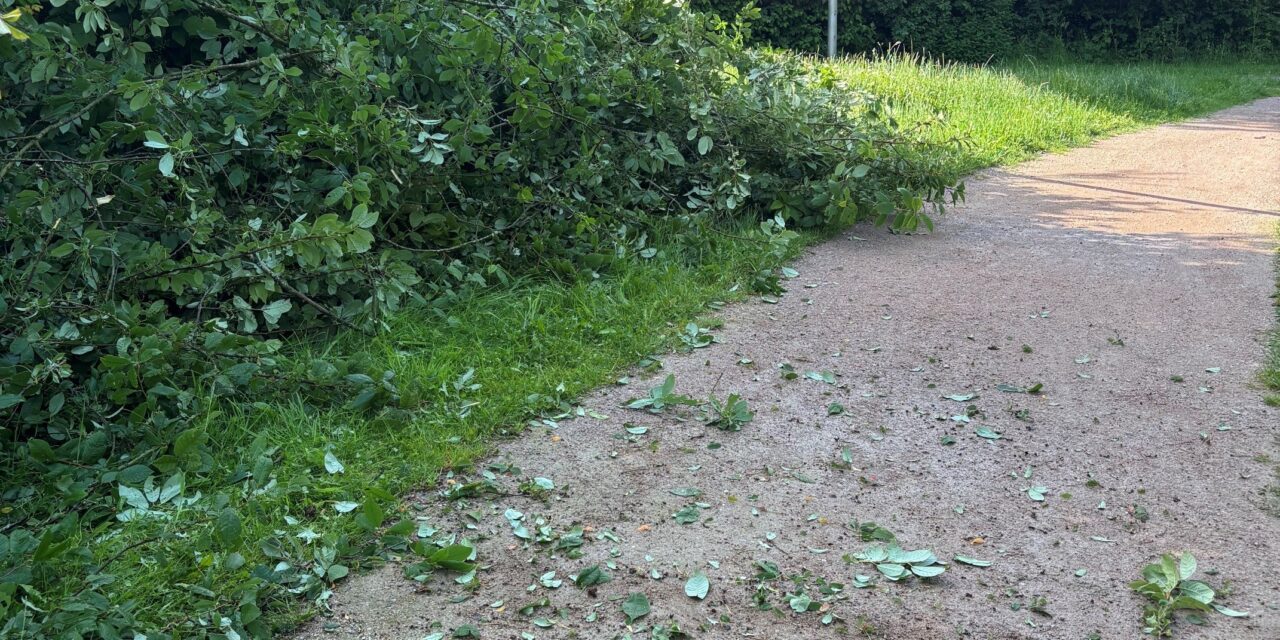 Kleinere technische Hilfe