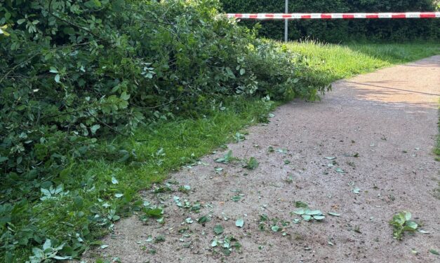 Kleinere technische Hilfe