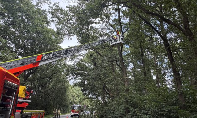 Unterstützung FF Appen: Ast droht zu fallen