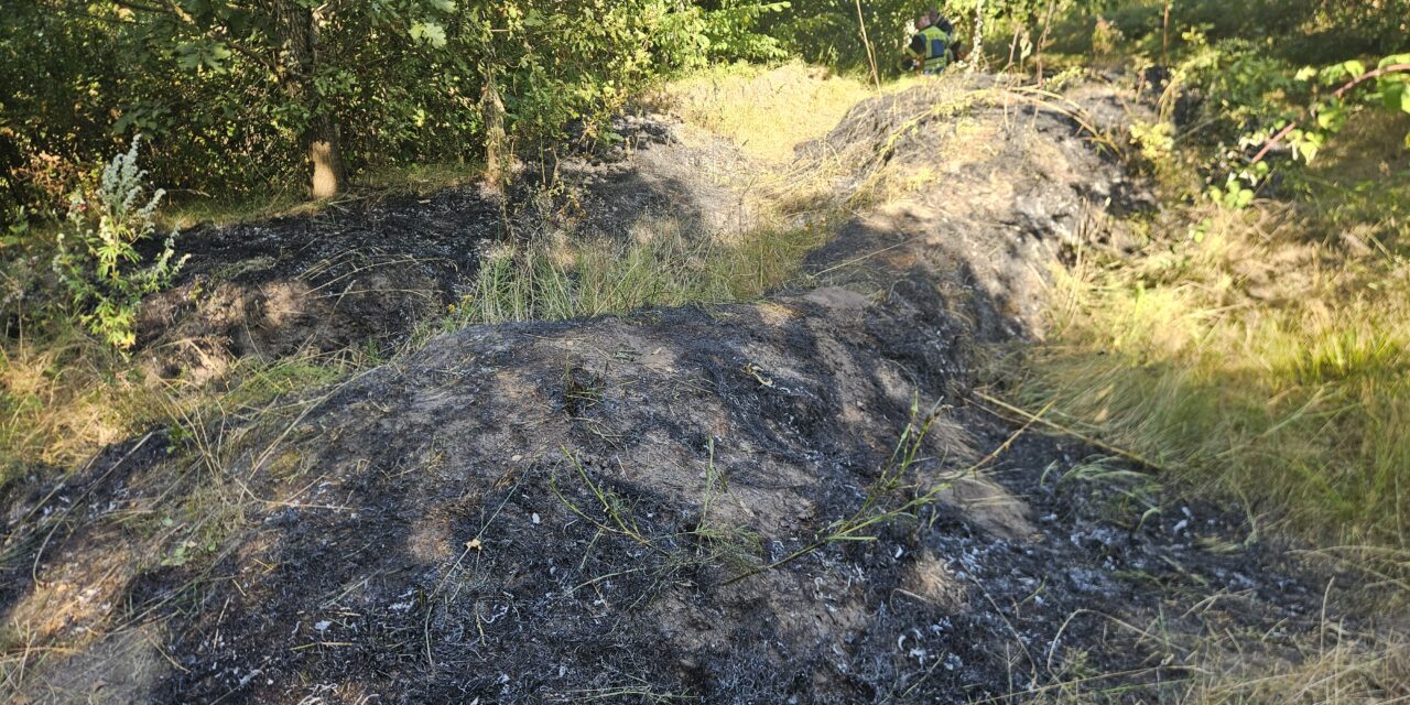 Flächenbrand