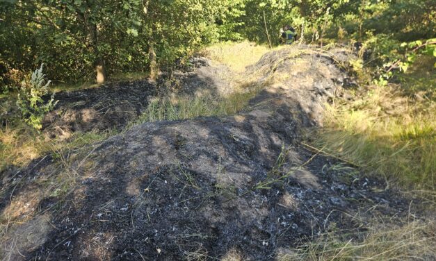 Flächenbrand