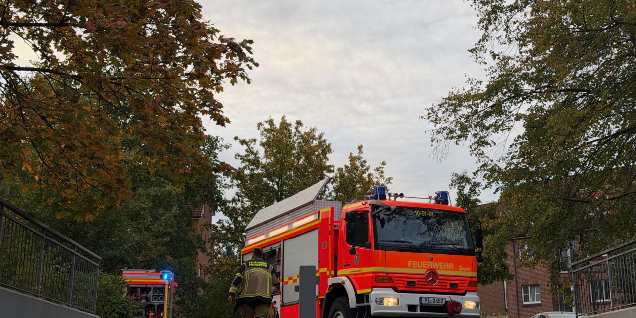 Rauchentwicklung aus PKW