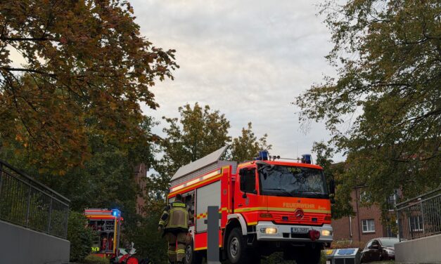 Rauchentwicklung aus PKW